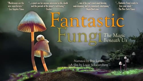 รีวิว Fantastic Fungi